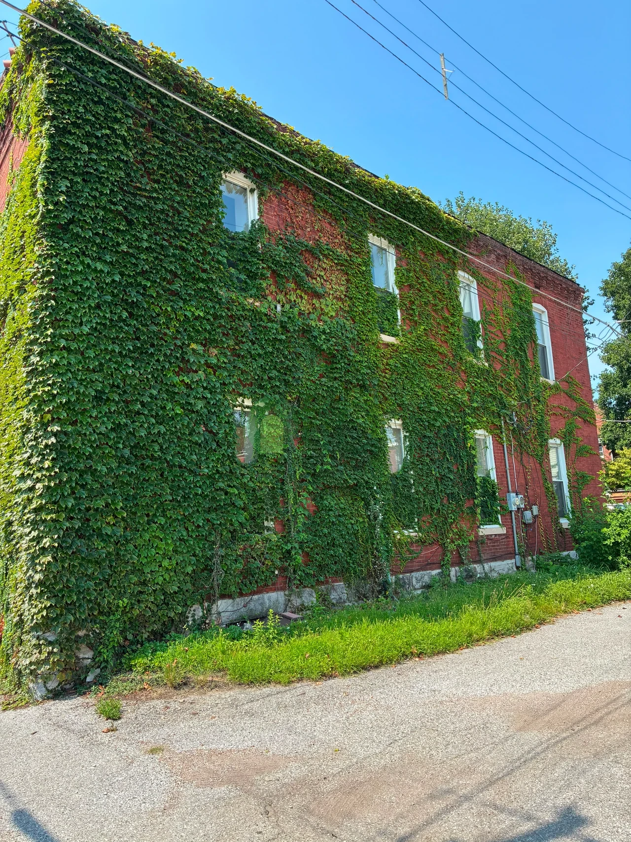 Property Image 4